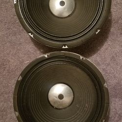 Vintage 12" Guitar Speakers