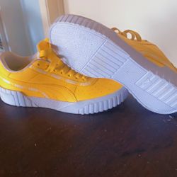 pumas
