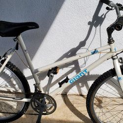 white giant mountain bike