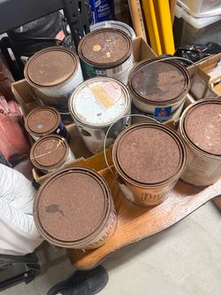 Paint