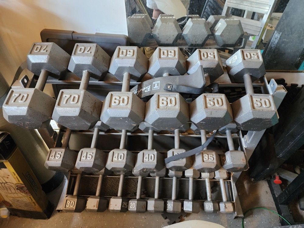 Home Gym - Machines, Weights!