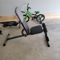 Adjustable Workout Bench