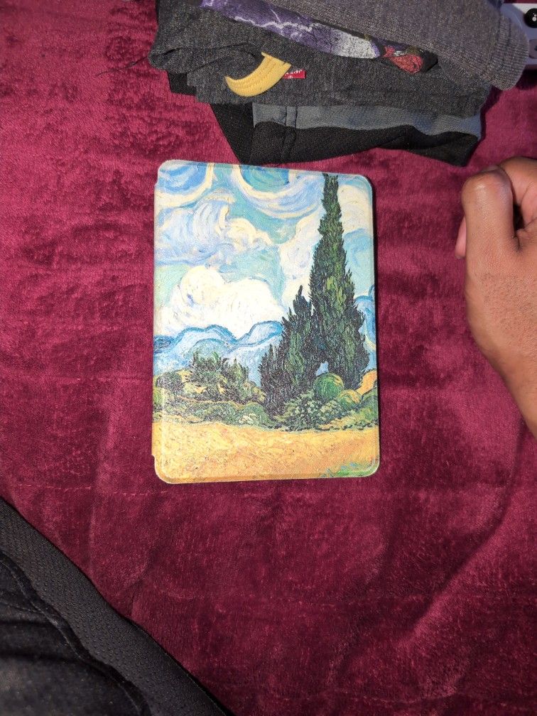 2 Kindle 6in cases