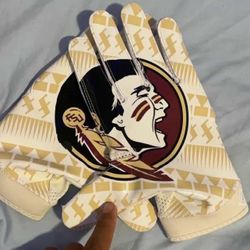 Florida seminoles college gloves