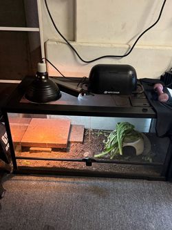 Reptile cage