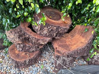 Wood