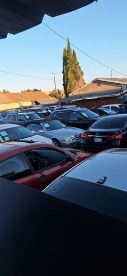 Public auctions
