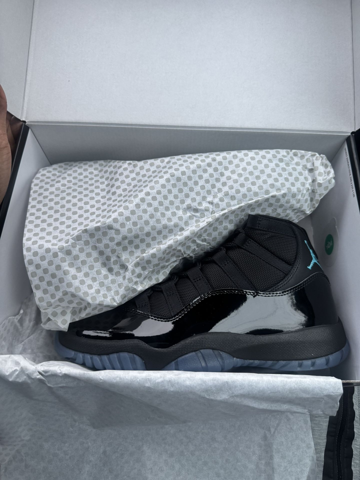 Gamma Blue Jordan 11’s