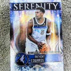 Minnesota Timberwolves Lot