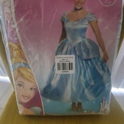 Cinderella Halloween Costume