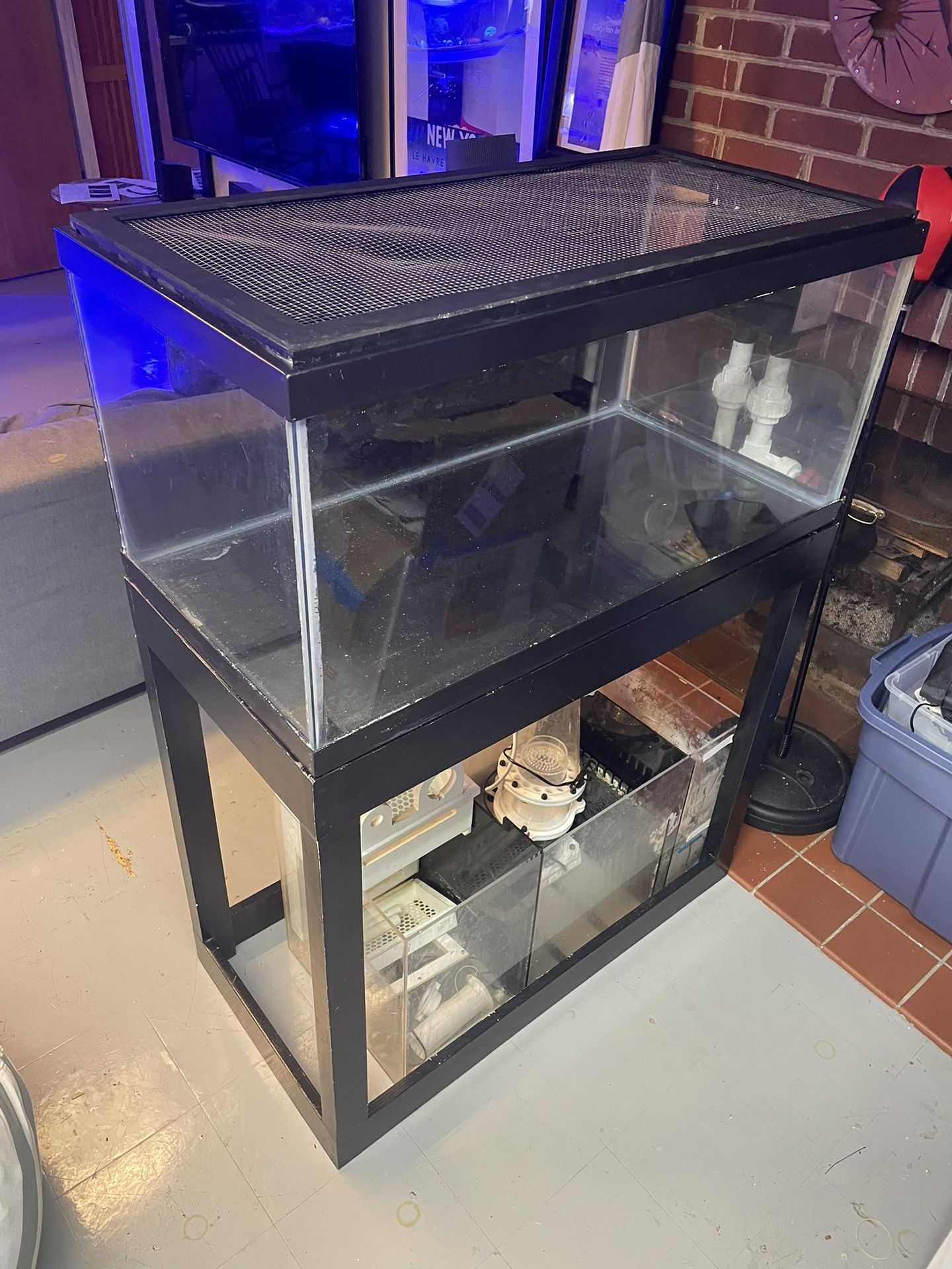 40 Gallon Reef Tank