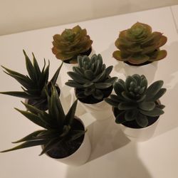 Mini Faux Succulents