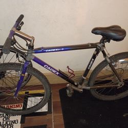 GIANT™ Cadex® CFM 3