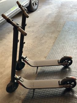 Segway Ninebot Scooters