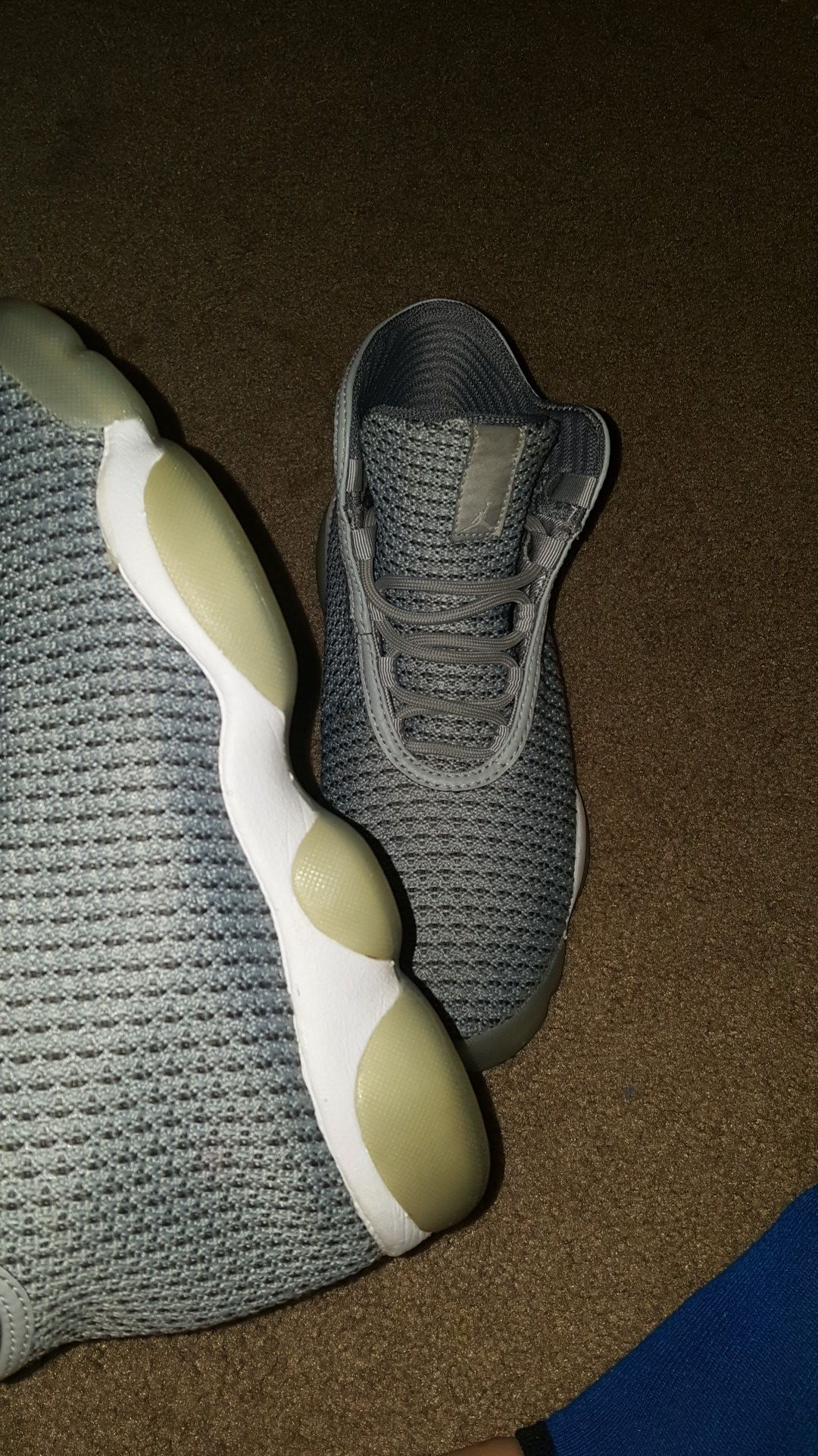 Air Jordan Horizon Wolf Grey