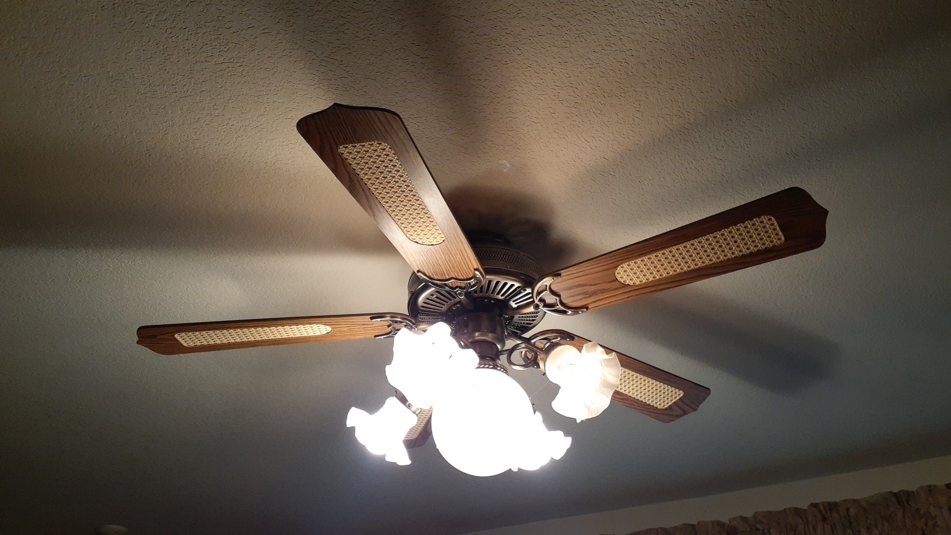Ceiling fan / Light Fixture