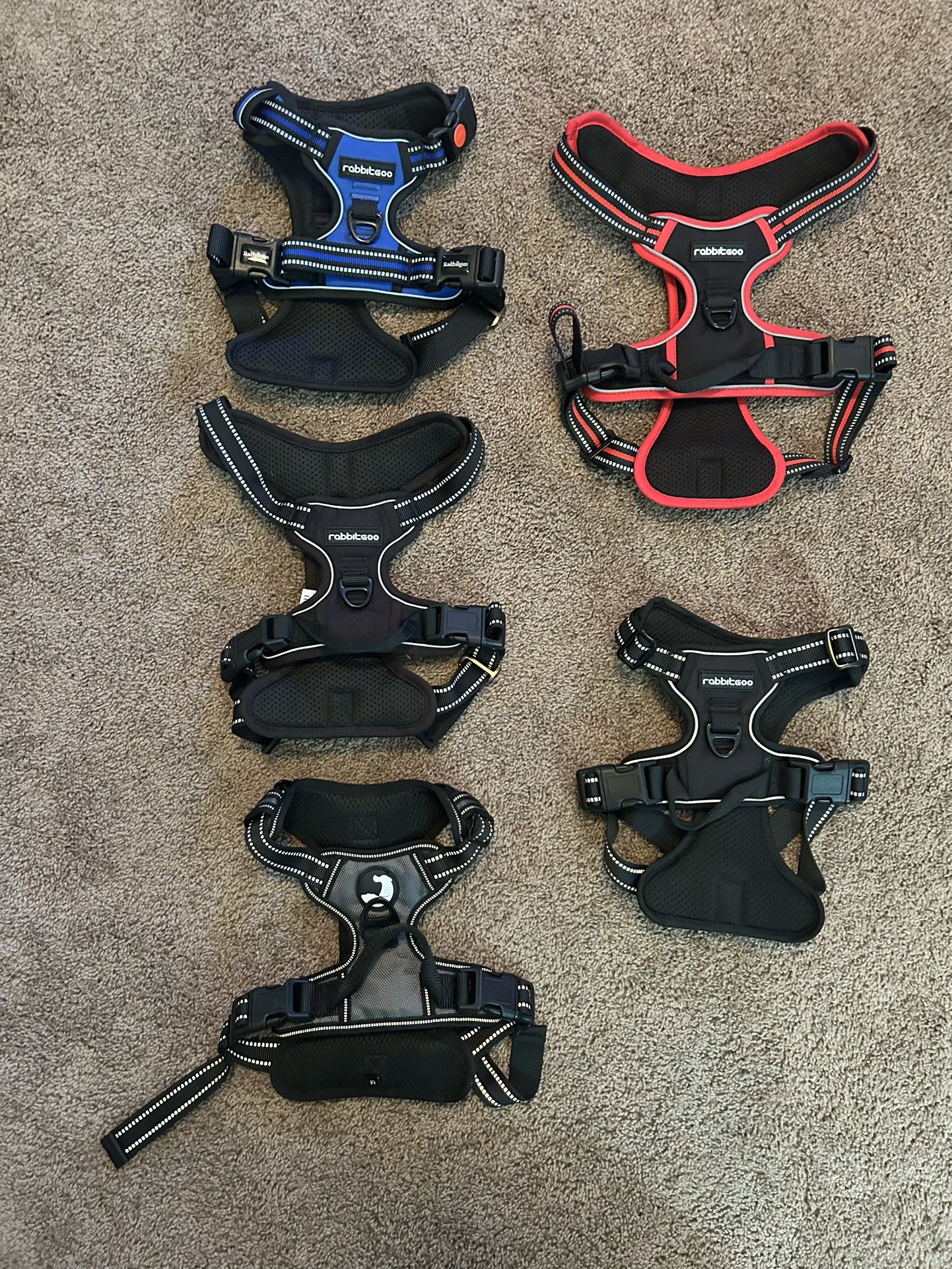 Dog Harnesses $10 Each