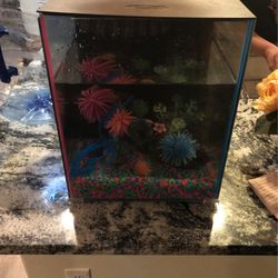 Fish Tank 