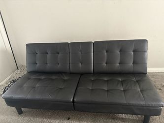 Burrell Futon sofa Bed