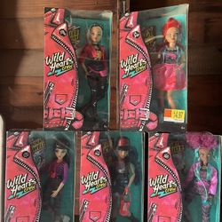 Wild Hearts Crew Complete Collection