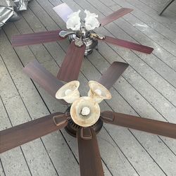 Ceiling fans