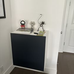 IKEA Wall Mounted Cabinet 