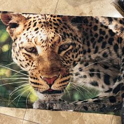 King Size/ Wild Leopard 3-Piece 3D Comforter Set Lightweight Warm Soft Feather Fabric Microfiber Bedding Set