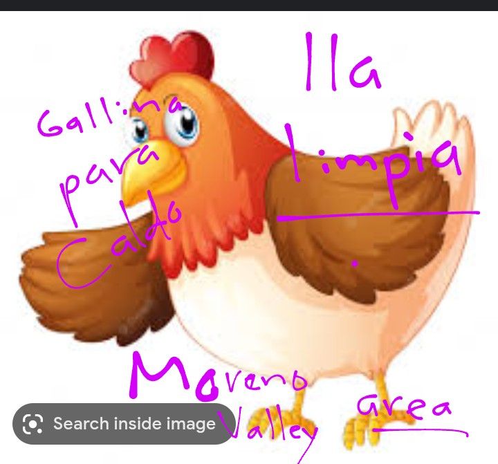 Gallina De Rancho Para Caldo