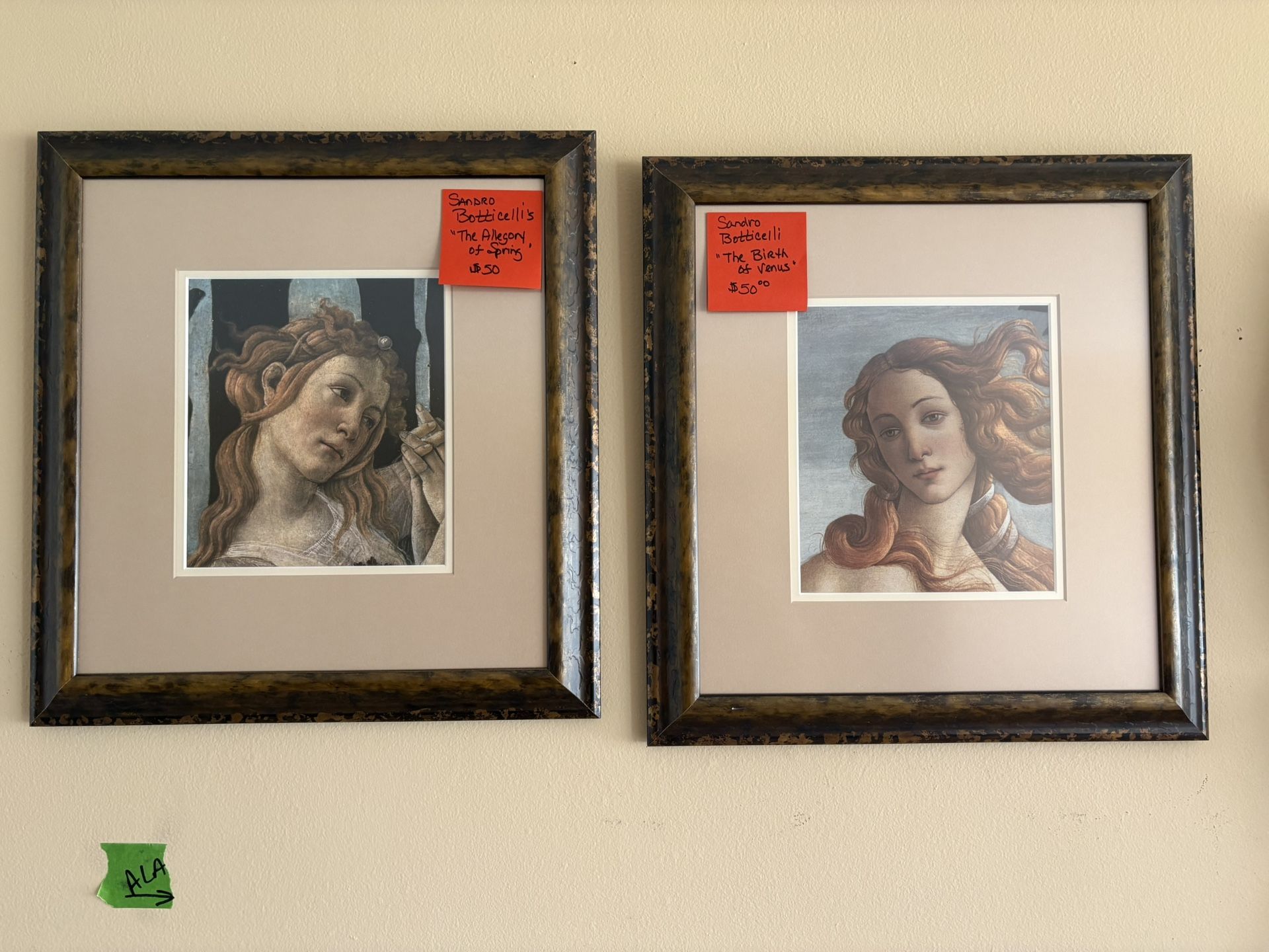 Framed Pictures