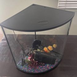 10 Gallon Corner Tank (Hard to Find)