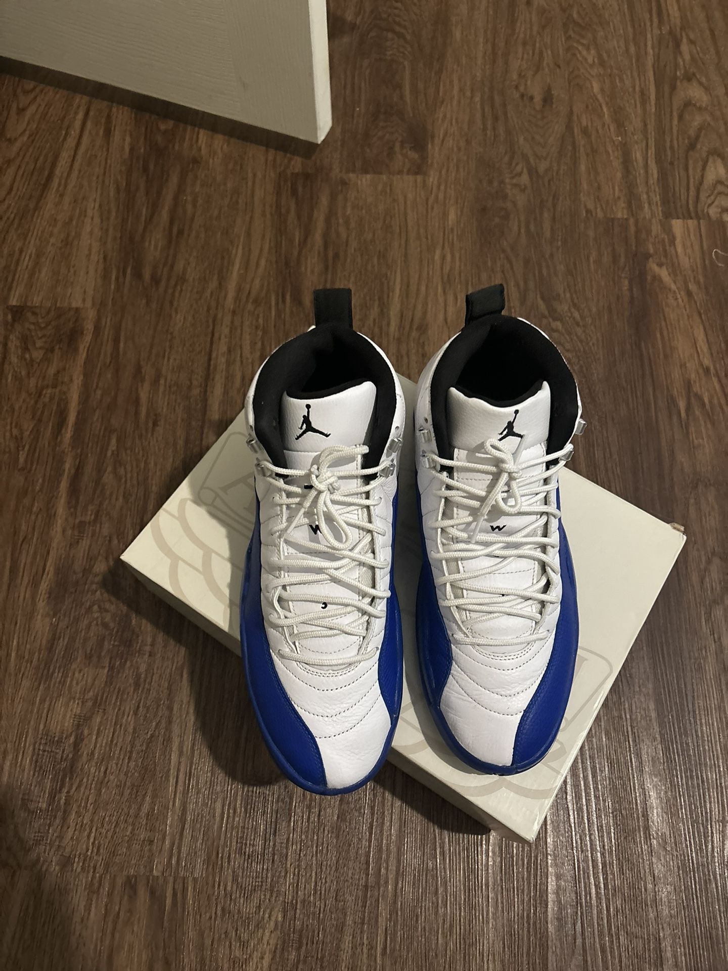 Jordan Blueberry 12s