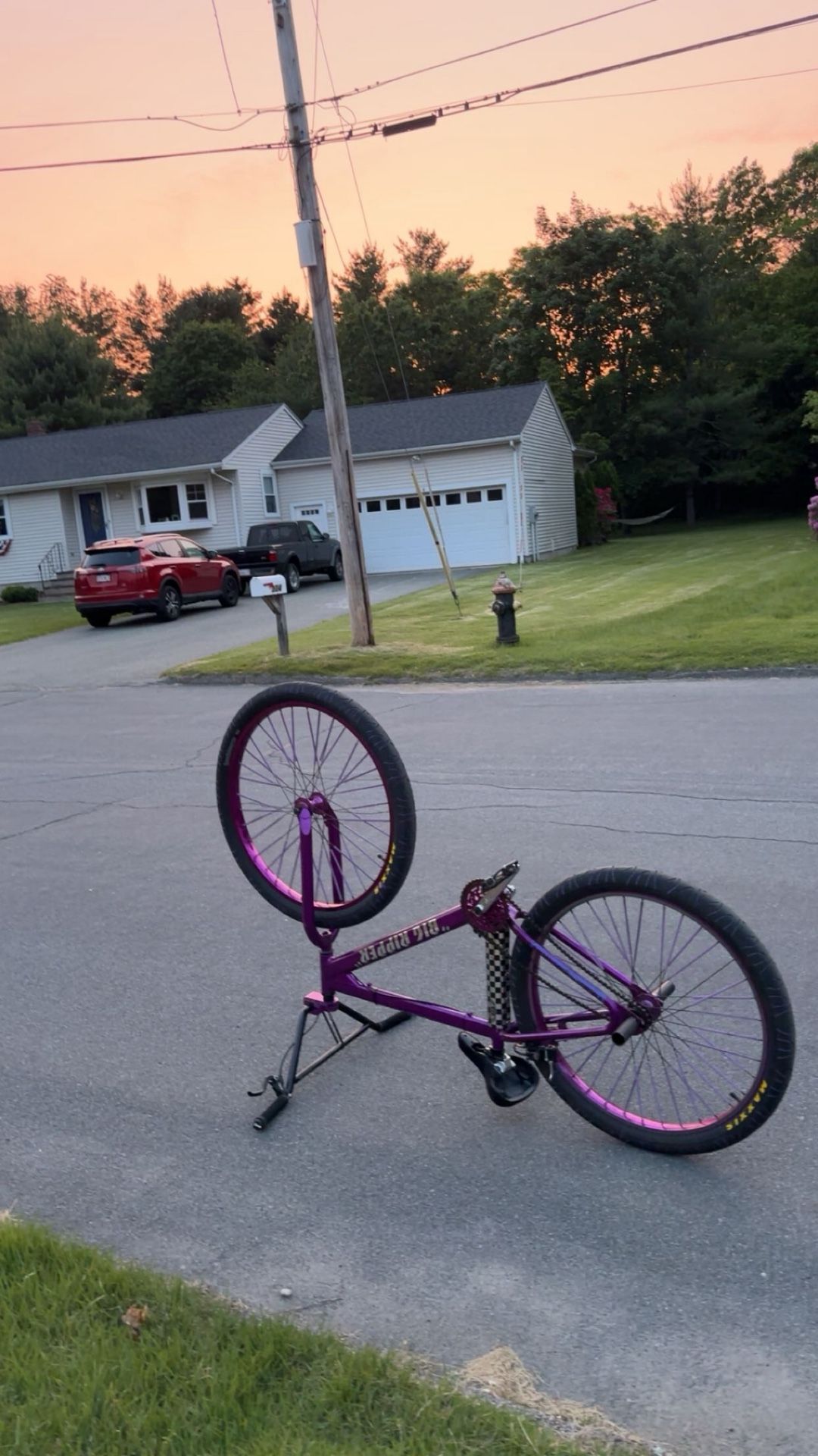 Purple Rain Big Ripper