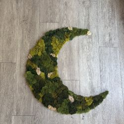 Crescent Moon Handmade Preserved Moss Art 