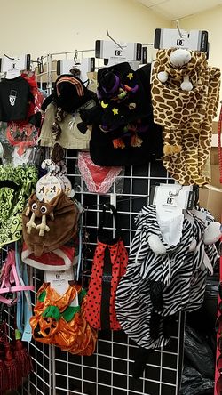 Last minute Dog Halloween costumes 1/2 price