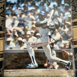 Andre Dawson 16x20 Picture 