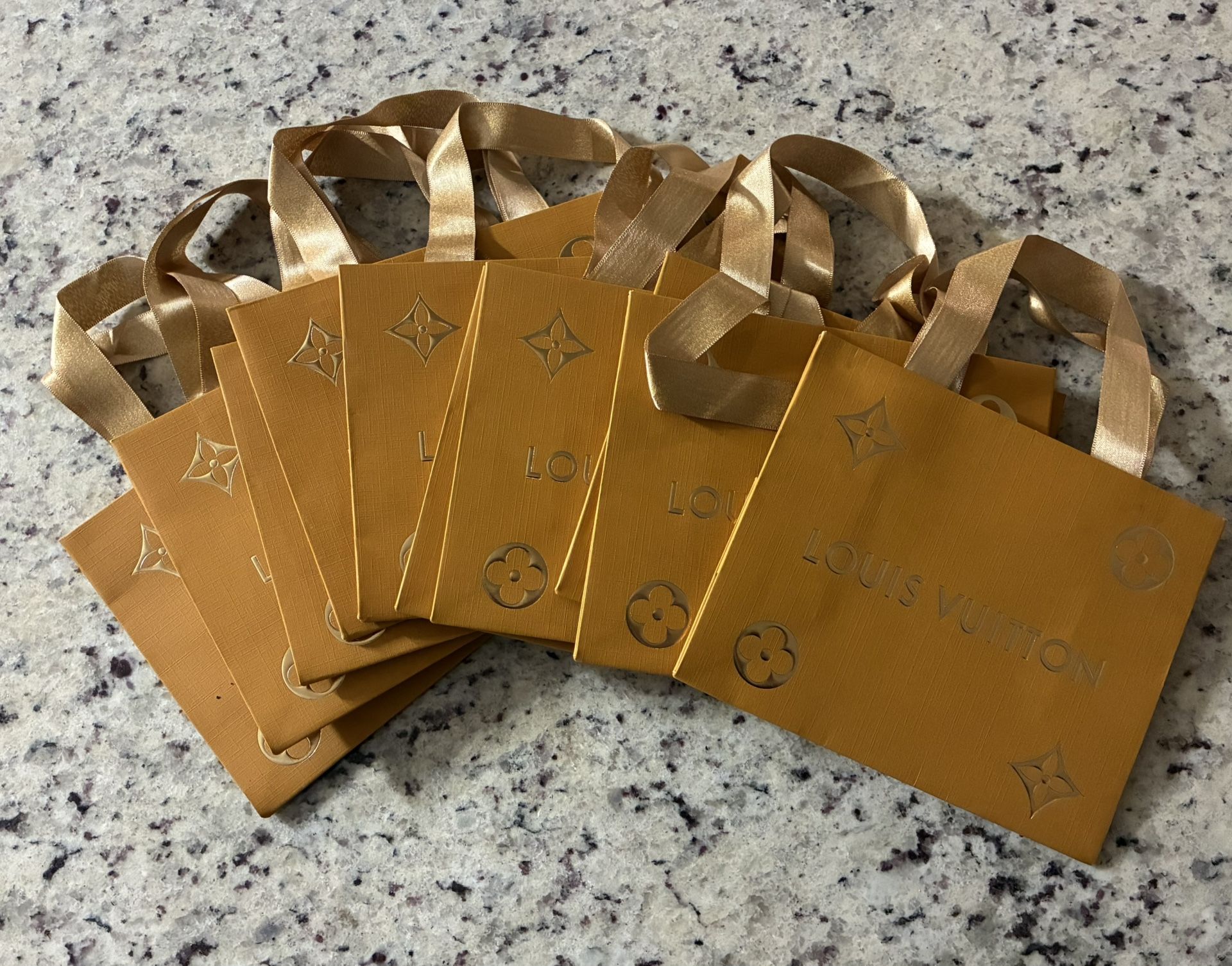 (10) Louis Vuitton LV Shopping Gift Bags  