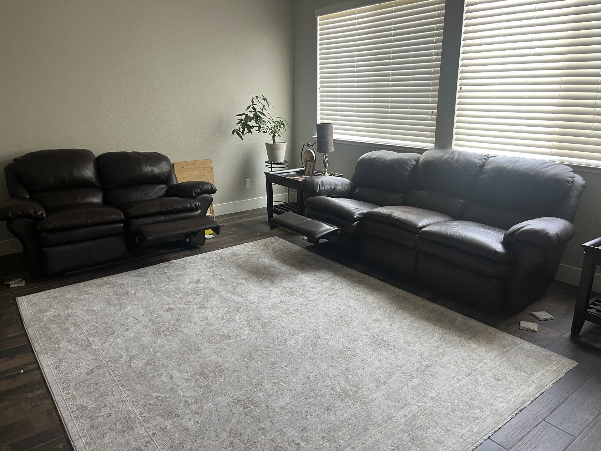 Leather couches 