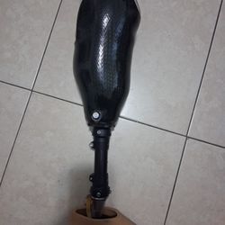 Prosthetic Leg