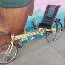 780 LINEAR Recumbent Bike for Sale in Denver CO OfferUp