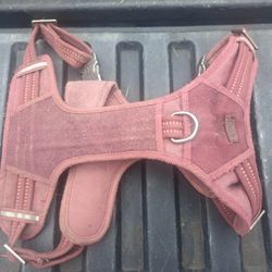Dog Items 