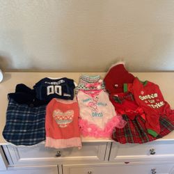 Dog Clothes