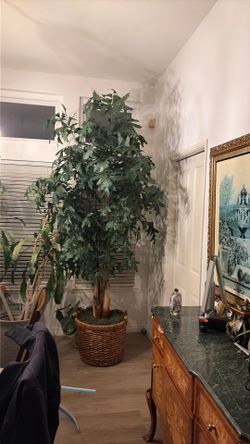 Tree fake