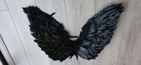 Halo & angel wings, black and white