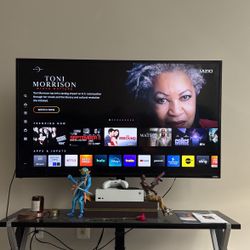 55 Inch Vizio Smart TV