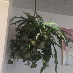 Artificial Hanging Plant Basket
