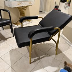 Heat Washing Chair 