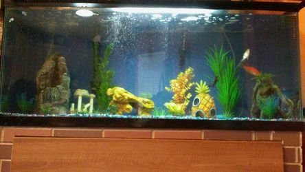 Have unwanted fish??