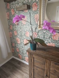 Real orchid