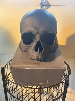 Big skull wall decor