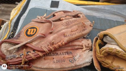 baseball gloves